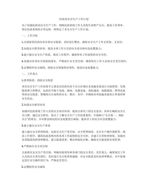 民政局安全生产工作计划