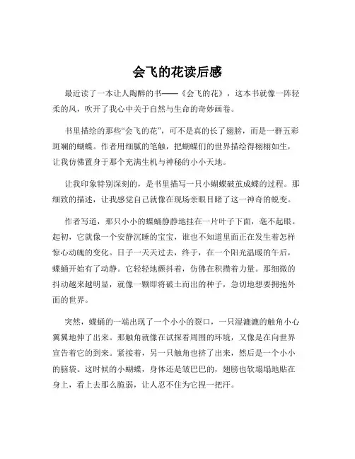 会飞的花读后感