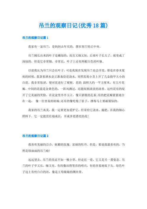 吊兰的观察日记(优秀18篇)