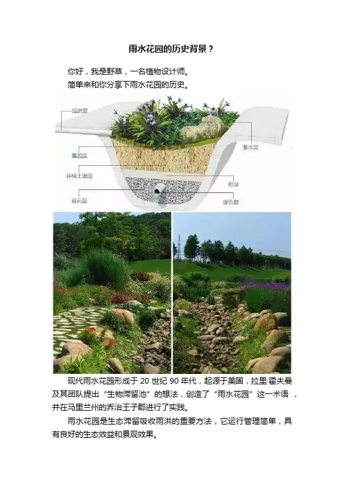 雨水花园的历史背景？