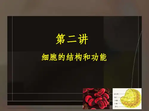 高中生物一轮复习专题——细胞的结构和功能PPT课件
