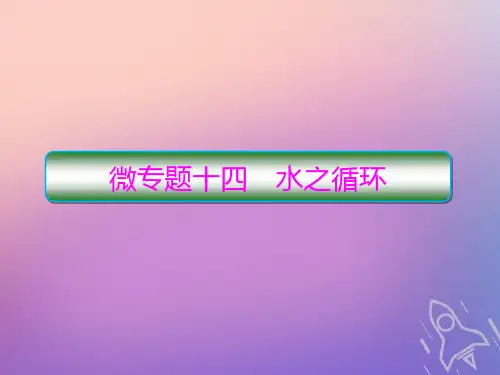 (新课标)2020高考地理二轮复习微专题14水之循环课件