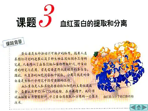 蛋白质的分离与纯化