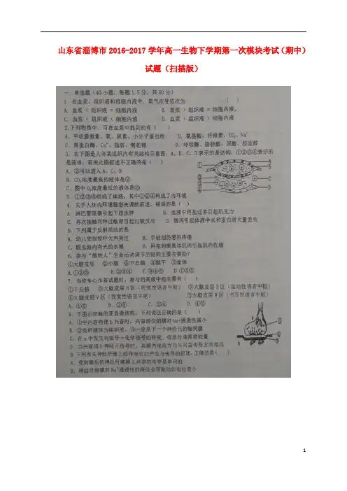 山东省淄博市高一生物下学期第一次模块考试(期中)试题