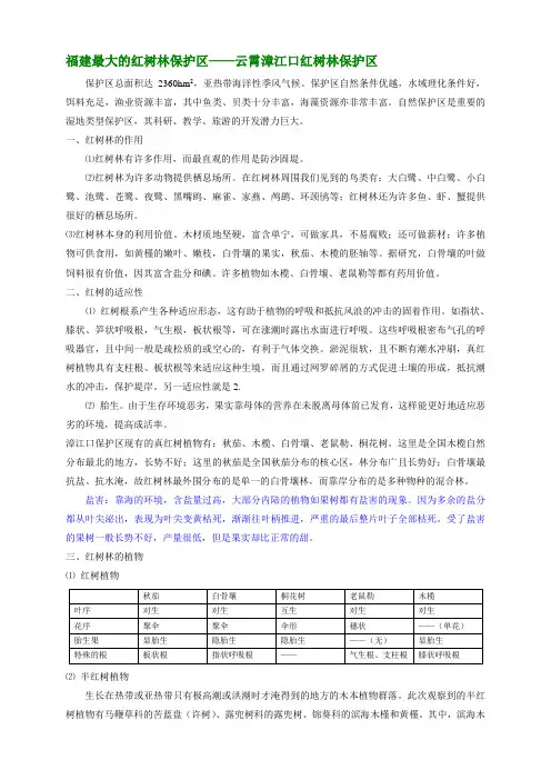 云霄漳江口红树林保护区