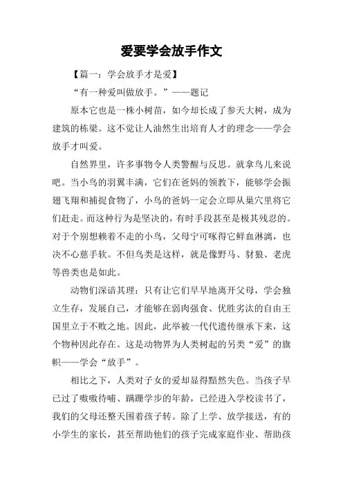 爱要学会放手作文