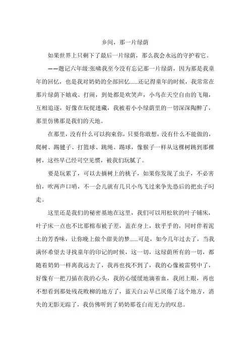 乡间那一片绿荫-作文