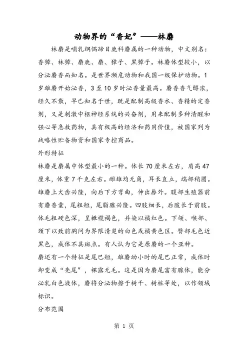 动物界的“香妃”林麝