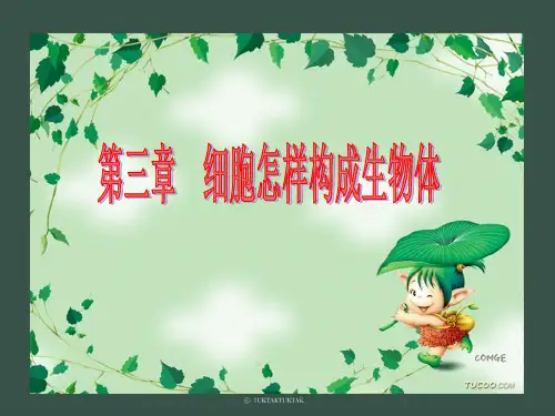 《动物体的结构层次》pp课件