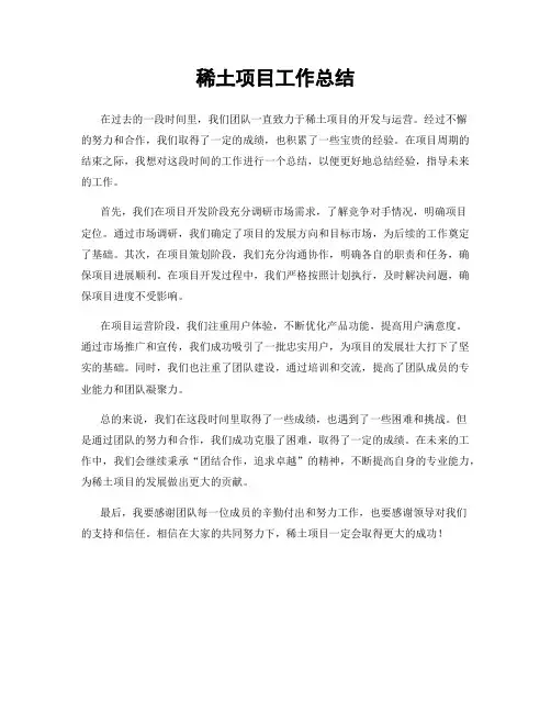 稀土项目工作总结
