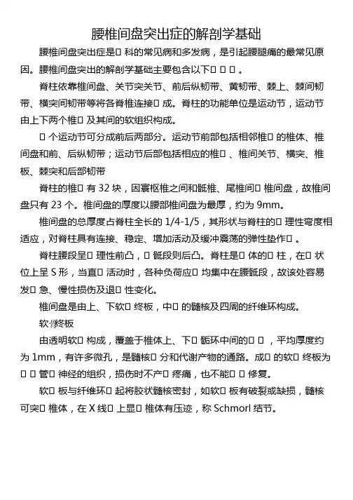 腰椎间盘突出症的解剖学基础