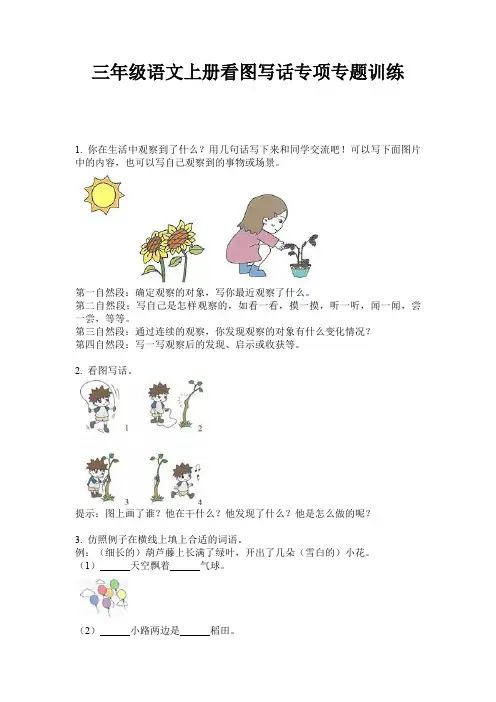 三年级语文上册看图写话专项专题训练
