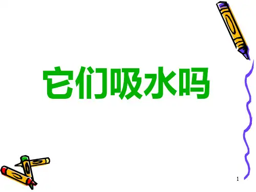 它们吸水吗PPT课件