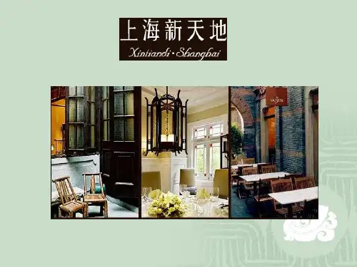 【精品】23上海新天地商业模式探讨