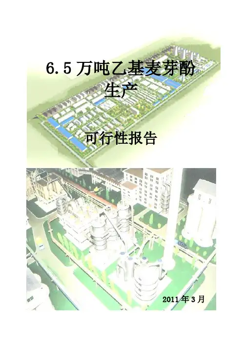 6.5万吨乙基麦芽酚的生产可行性报告