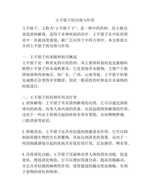 王不留子的功效与作用