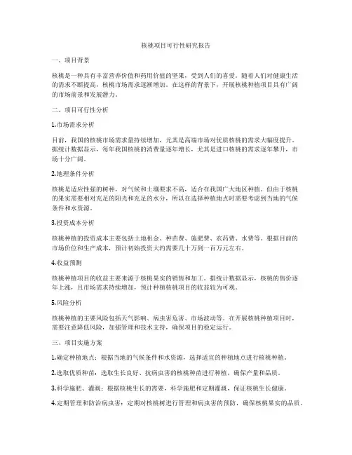 核桃项目可行性研究报告