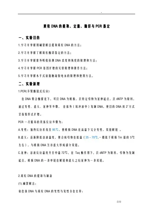 质粒DNA的提取、定量、酶切与PCR鉴定实验报告