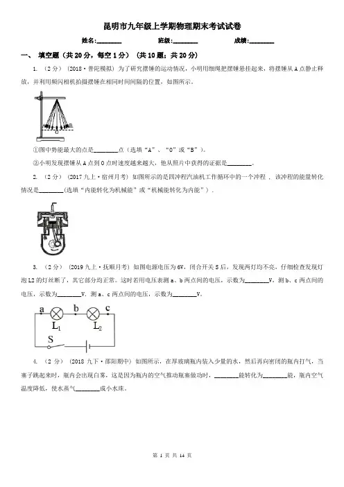 昆明市九年级上学期物理期末考试试卷