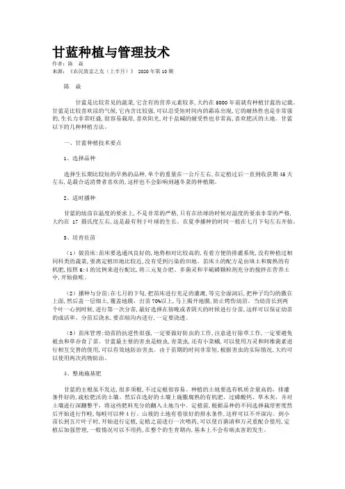 甘蓝种植与管理技术