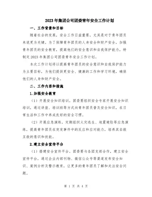 2023年集团公司团委青年安全工作计划