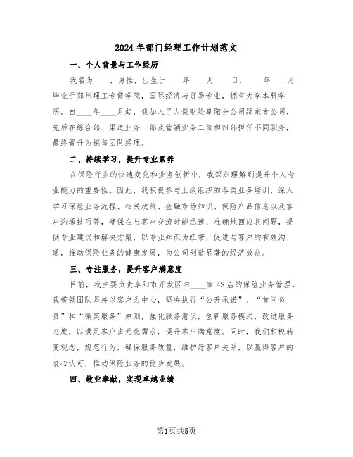 2024年部门经理工作计划范文（三篇）
