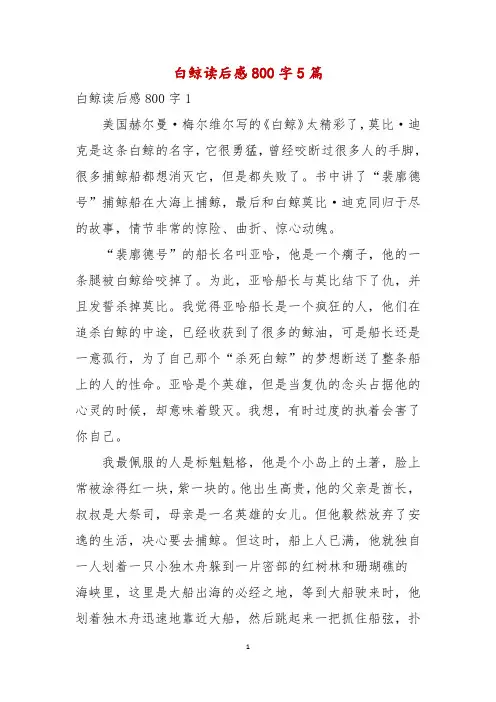 白鲸读后感800字5篇