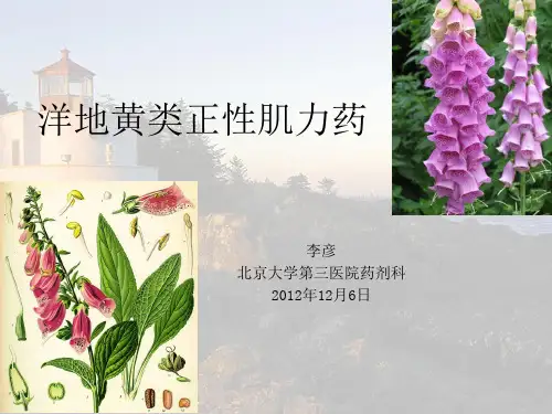 洋地黄类正性肌力药