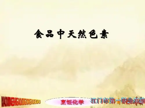 《烹饪化学》天然色素