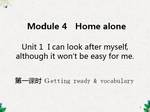 九年级英语外研版上册课件：Module 4  Unit 1(共29张PPT)