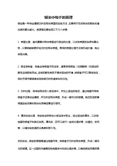 银染中每步的原理