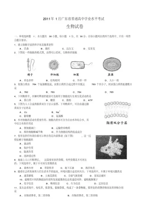 2011年1月广东省普通高中学业水平考试生物(试卷和答案)(20200416105827)