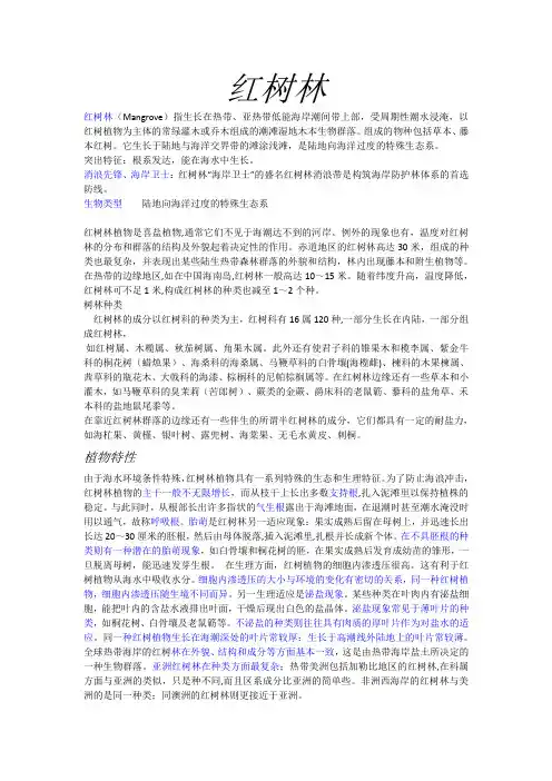 红树林