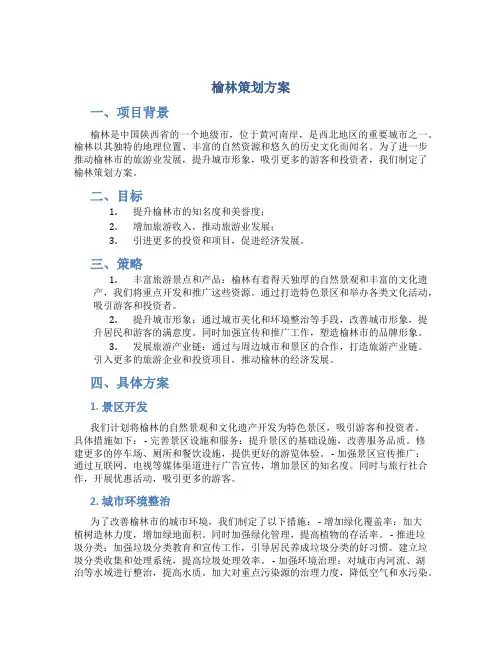 榆林策划方案