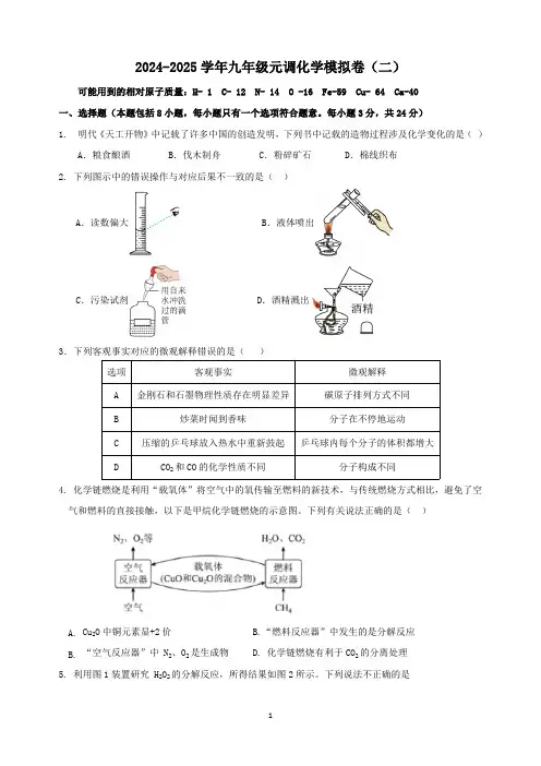 湖北省武汉市2024-2025学年九年级元月调考化学模拟卷(二)(含答案)