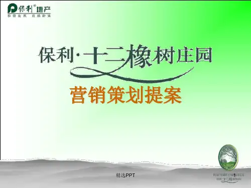 保利武汉十二橡树庄园营销策划提案