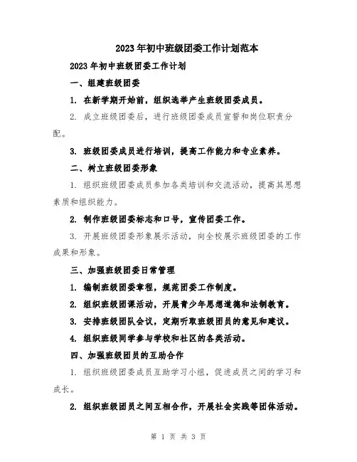 2023年初中班级团委工作计划范本