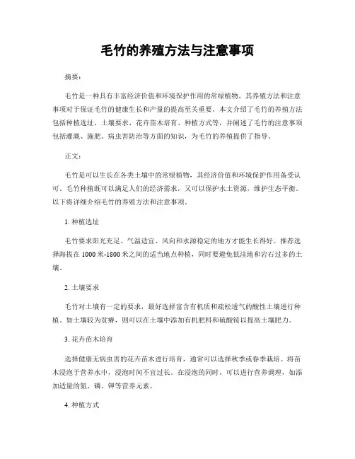 毛竹的养殖方法与注意事项