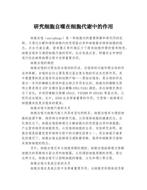 研究细胞自噬在细胞代谢中的作用
