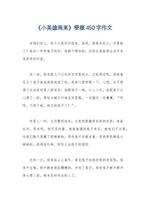 《小英雄雨来》梗概450字作文