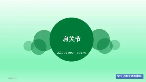 肩关节解剖ppt课件