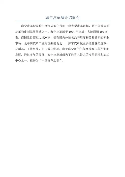 海宁皮革城介绍简介