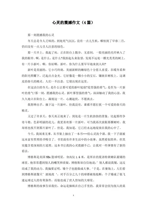 心灵的震撼作文(4篇)
