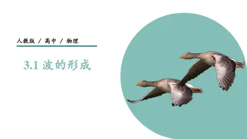 02 教学课件_波的形成 课件2