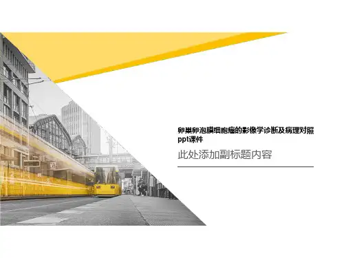卵巢卵泡膜细胞瘤的影像学诊断及病理对照ppt课件
