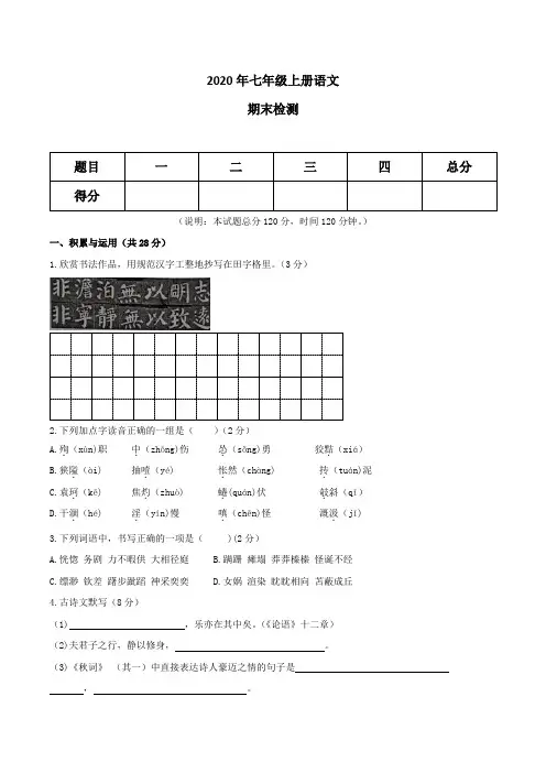 2020年七年级上册语文期末考试 (7)