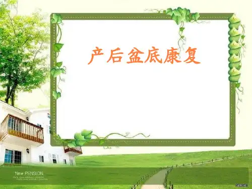 盆底肌康复PPT课件