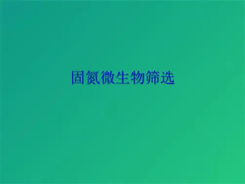 固氮微生物筛选(共7张PPT)