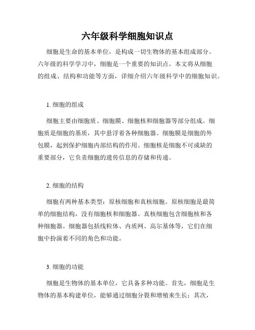 六年级科学细胞知识点