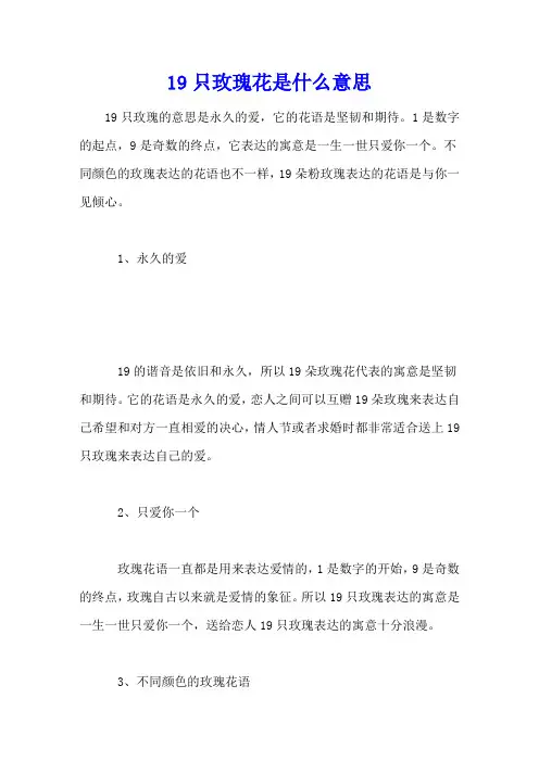 19只玫瑰花是什么意思